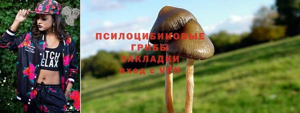 гидра Белокуриха