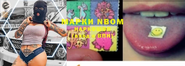 гидра Белокуриха