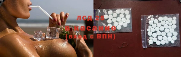 гидра Белокуриха
