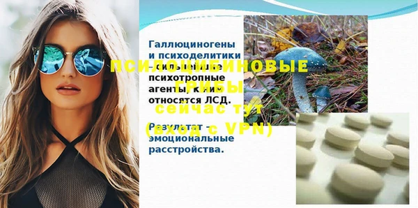 гидра Белокуриха