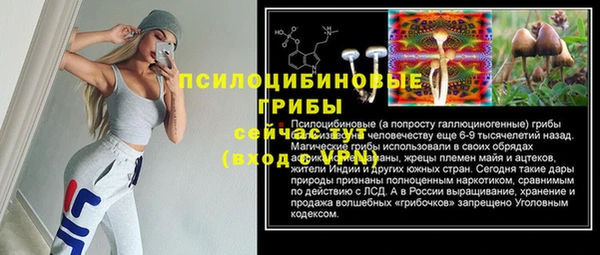 гидра Белокуриха