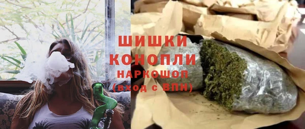 гидра Белокуриха
