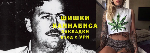гидра Белокуриха