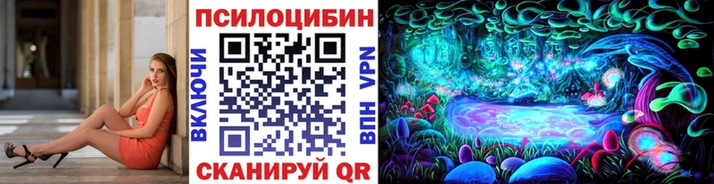 дарнет шоп  Верхний Тагил  Псилоцибиновые грибы Magic Shrooms 
